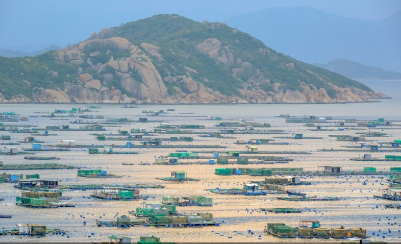 Bình Ba, hòn đảo thuộc thành phố Cam Ranh (Khánh Hòa) là nơi được mệnh danh ''đảo tôm hùm'' bởi đây là nơi có rất nhiều bè nuôi tôm hùm, nghề mang lại thu nhập chính cho người dân đảo.