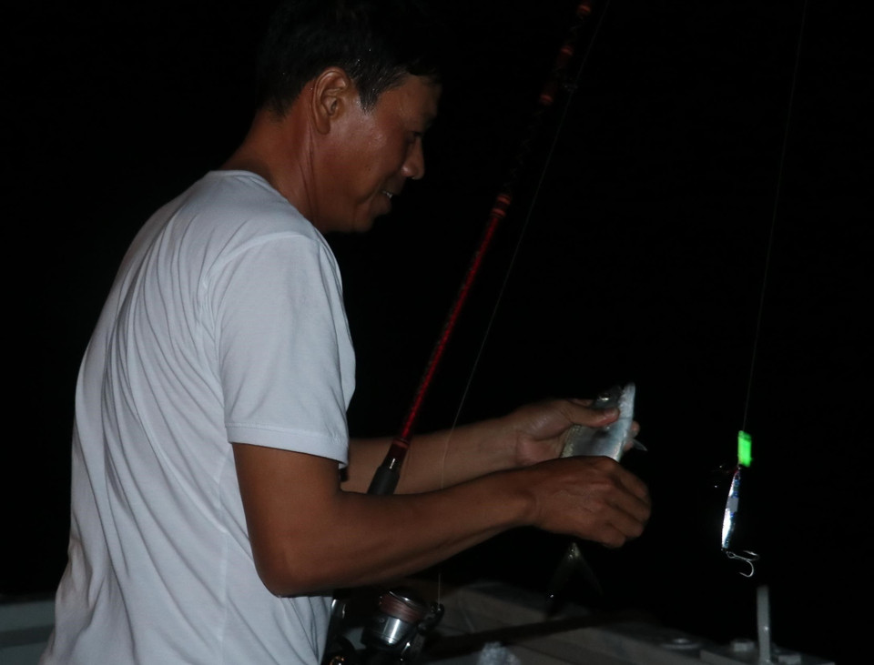 Trên hải trình chở đoàn cán bộ, chiến sỹ từ đất liền ra thăm quần đảo Trường Sa và nhà giàn DK1 cuối tháng Tư đến đầu tháng 5/2021 vừa qua, chiến sỹ trên tàu Trường Sa 571 thường tổ chức câu cá đêm, cải thiện khẩu phần ăn cho thủy thủ đoàn. Trong ảnh: Cá nhỏ díng câu thường được dùng để làm mồi câu cá lớn. (Ảnh: Sỹ Tuyên/TTXVN)