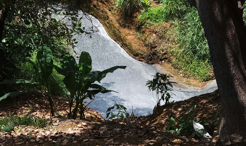 Dòng suối phía sau giáp với nhà máy chế biến mủ cao su L.H ngoài màu đen, bề mặt nước còn nổi lên váng trắng. (Ảnh: Đậu Tất Thành/TTXVN)