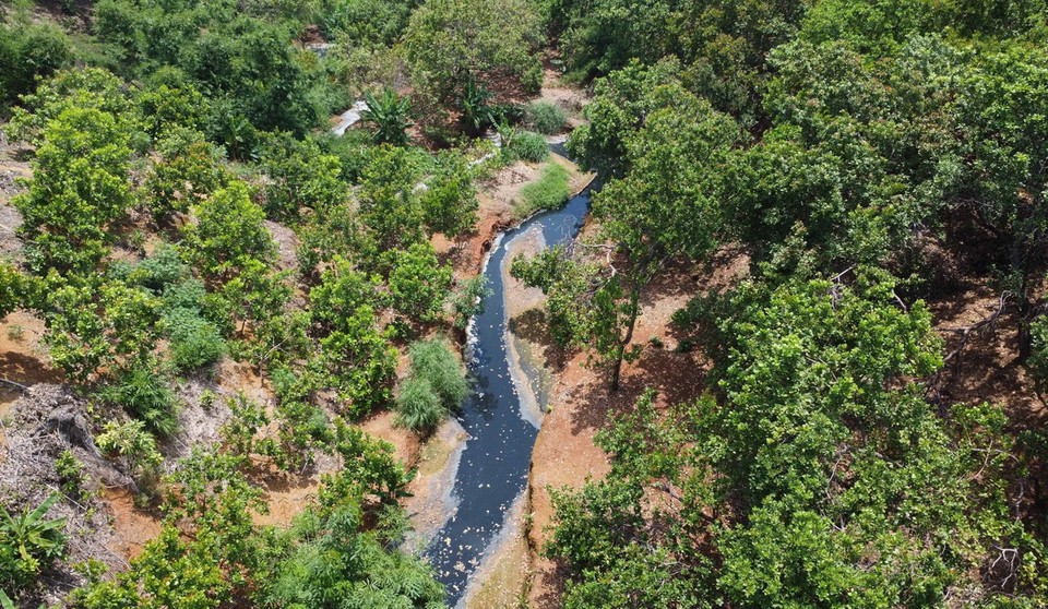 Dòng suối phía sau giáp với nhà máy chế biến mủ cao su L.H ngoài màu đen, bề mặt nước còn nổi lên váng trắng. (Ảnh: Đậu Tất Thành/TTXVN)