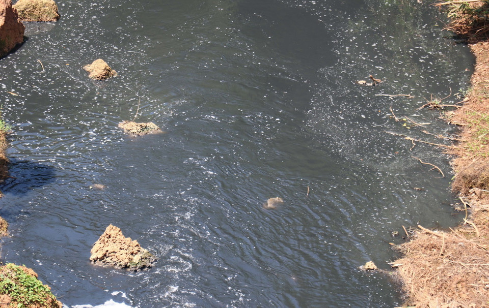 (Ảnh: Đậu Tất Thành/TTXVN)