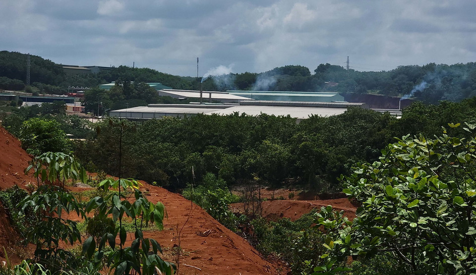 Khu vực phía sau nhà máy chế biến mủ cao su L.H. (Ảnh: Đậu Tất Thành/TTXVN)