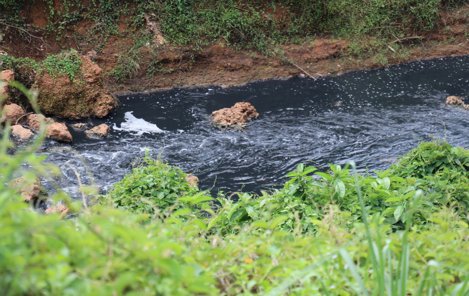 (Ảnh: Đậu Tất Thành/TTXVN)