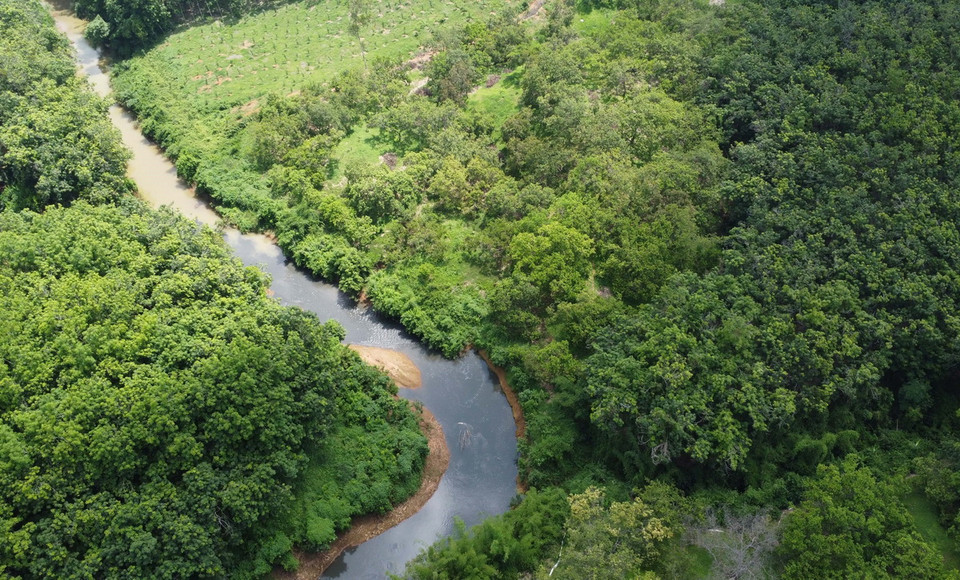 Nước Suối Tân chuyển thành màu đen như mực, đặc quánh, bốc mùi hôi nồng nặc kéo dài hàng chục cây số. (Ảnh: Đậu Tất Thành/TTXVN)