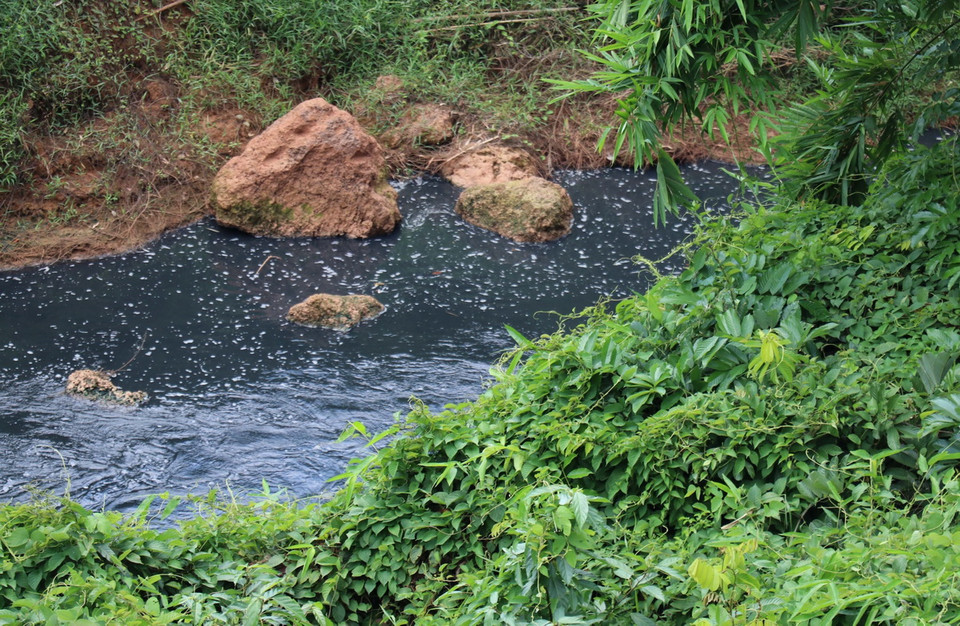 Nước Suối Tân chuyển thành màu đen như mực, đặc quánh, bốc mùi hôi nồng nặc kéo dài hàng chục cây số. (Ảnh: Đậu Tất Thành/TTXVN)
