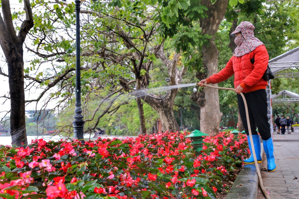 Các công nhân tưới nước cho vườn hoa ven Hồ Gươm. (Ảnh: Tuấn Đức/TTXVN)