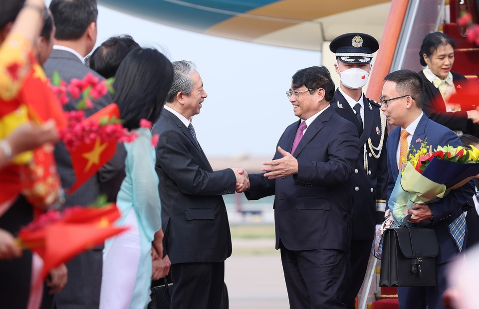 (Ảnh: Dương Giang/TTXVN)