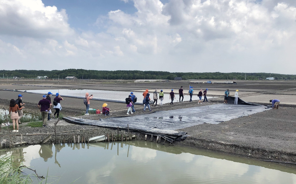 Du khách tham quan cánh đồng muối tại huyện Cần Giờ. (Ảnh: Mỹ Phương/TTXVN)