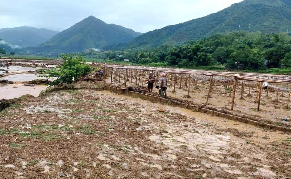 Mưa lũ gây sạt lở và vùi lấp khoảng trên 140ha lúa ruộng, rau màu, ao cá… giá trị thiệt hại ước khoảng trên 8 tỷ đồng. (Ảnh: TTXVN phát)