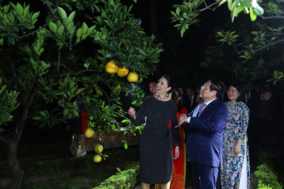 Thủ tướng Phạm Minh Chính và Thủ tướng New Zealand Jacinda Ardern thăm thăm vườn ăn quả trong Khu Di tích Chủ tịch Hồ Chí Minh tại Phủ Chủ tịch. (Ảnh: Dương Giang/TTXVN)