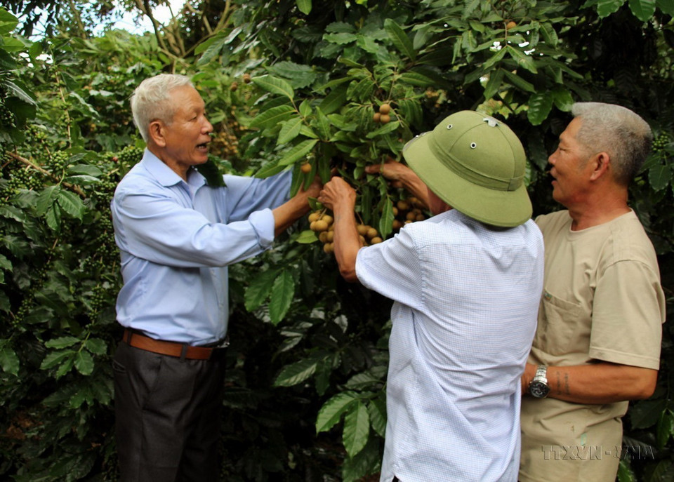 Ông Trần Đình Hoàn (bên trái) ở Tiểu khu Quyết Thắng, xã Cò Nòi, huyện Mai Sơn (Sơn La) mang trong người chất độc da cam nhưng luôn nỗ lực phấn đấu, là tấm gương về nghị lực sống. Ông đã giúp người dân trong tiểu khu có cuộc sống ổn định và chung tay xây dựng nông thôn mới. (Ảnh: Diệp Anh/TTXVN)