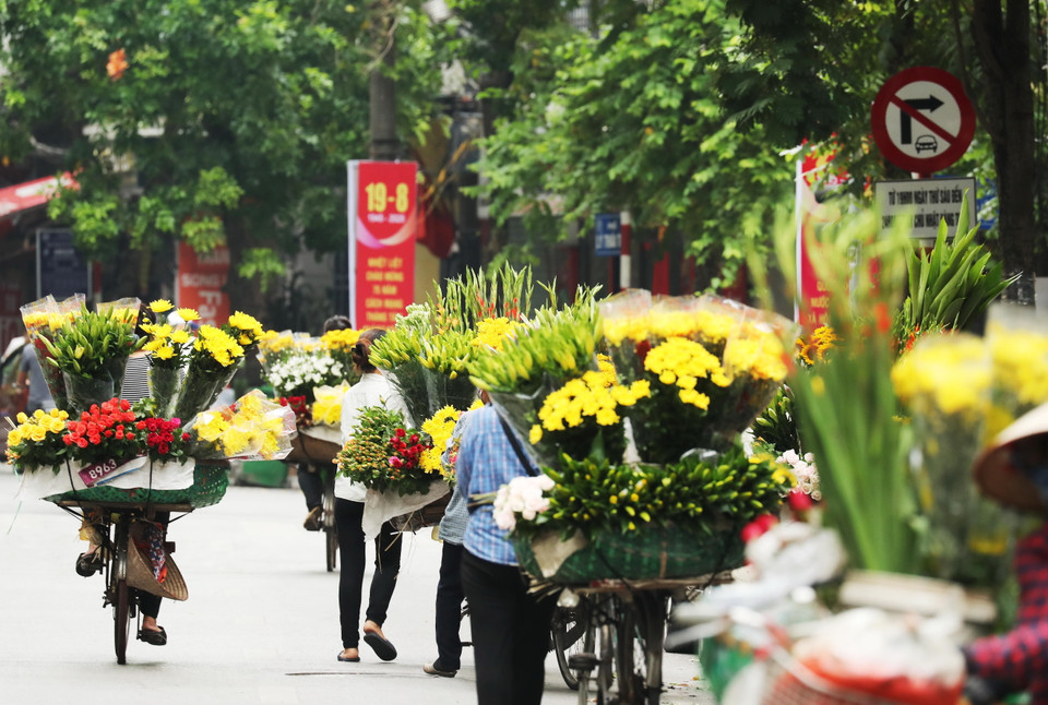 Những hàng hoa về buổi sớm trên phố Nguyễn Hữu Huân. (Ảnh: Lâm Khánh/TTXVN)