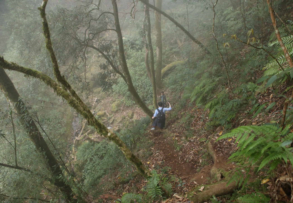 Để khám phá vẻ đẹp và chinh phục đỉnh Bạch Mộc Lương Tử, du khách phải trải qua một chặng đường dài gần 10km xuyên qua những cánh rừng mờ sương huyền ảo. (Ảnh: Quý Trung/TTXVN)