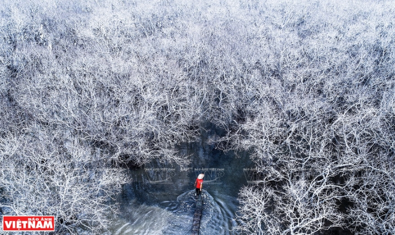 Rú Chá ngày Đông (Thừa Thiên-Huế).