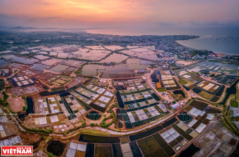 Bình minh đồng muối.