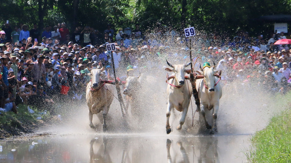 (Ảnh: Công Mạo/TTXVN)