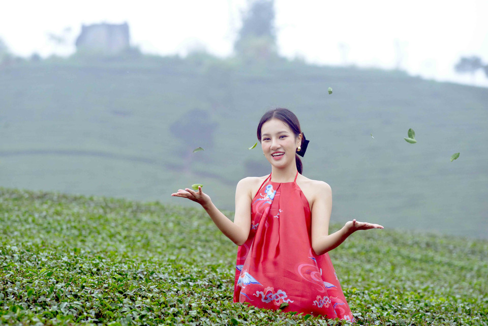 Thí sinh Lê Thị Hương Ly, đại diện Việt Nam tham gia Miss Tourism World 2022, trải nghiệm tại đồi chè xanh bát ngát của huyện Mộc Châu. (Ảnh: Quang Quyết/TTXVN)