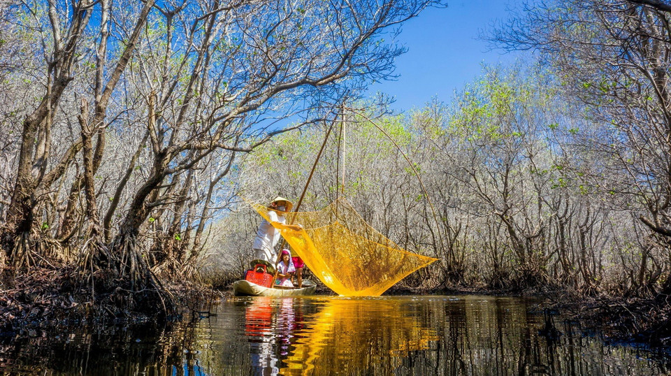 Rừng ngập mặn bàu Cá Cái, xã Bình Thuận (Bình Sơn, Quảng Ngãi) được phục hồi với nhiều loài thủy sản, tạo sinh kế bền vững cho người dân trong vùng. (Ảnh: TTXVN phát)