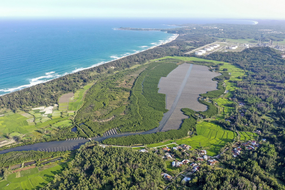 Rừng ngập mặn bàu Cá Cái, huyện Bình Sơn (Quảng Ngãi). (Ảnh: TTXVN phát)