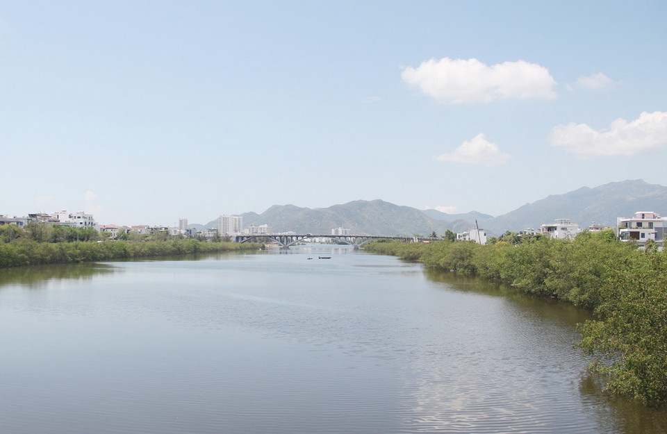 Màu xanh của hệ sinh thái ngập mặn hai bên bờ Sông Quán Trường, thành phố Nha Trang (Khánh Hòa). (Ảnh: Phan Sáu/TTXVN)