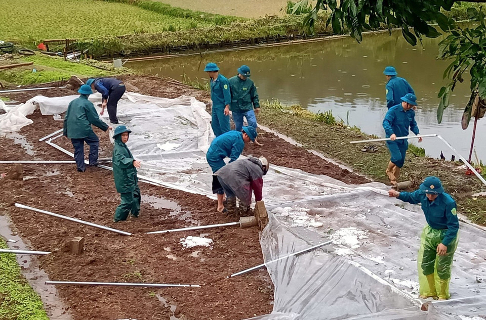 Chính quyền các địa phương chịu ảnh hưởng đang thống kê thiệt hại, chỉ đạo các lực lượng cứu hộ tại chỗ, cùng người dân khẩn trương khắc phục hậu quả để ổn định đời sống và sản xuất. Trong ảnh: Lực lượng chức năng huyện Bảo Yên xuống xã khắc phục dựng lại lều bạt cho người dân. (Ảnh: Quốc Khánh/TTXVN)