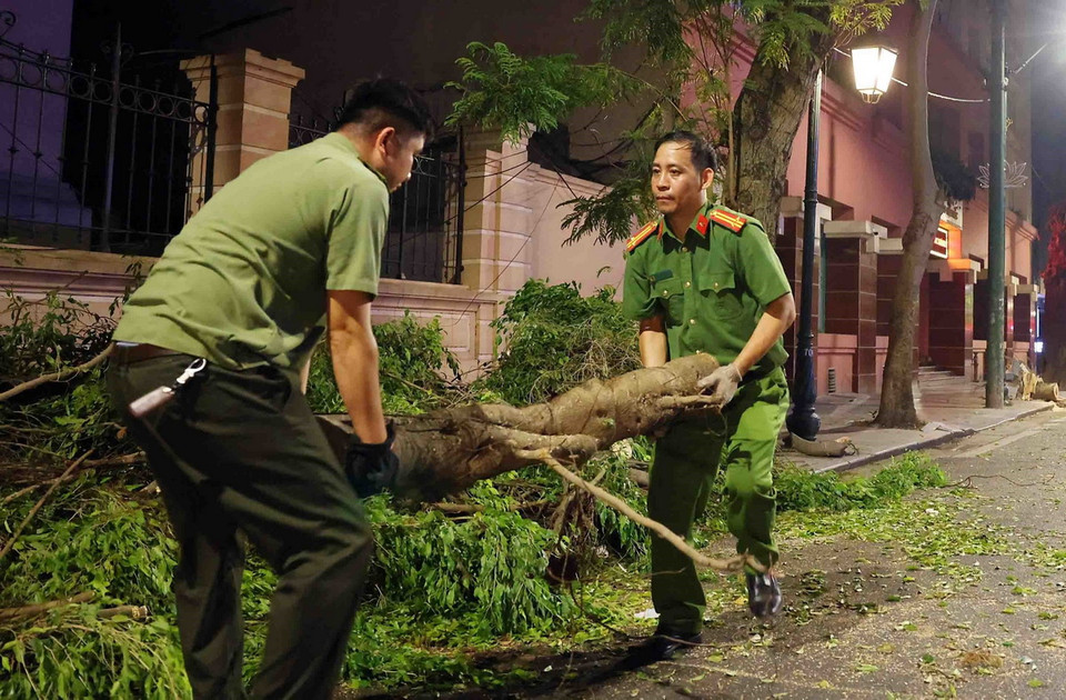 Cán bộ, chiến sỹ Công an phường Hàng Trống, Quận Hoàn Kiếm dọn dẹp cây gãy đổ sau cơn bão số 3 trên phố Tràng Thi. (Ảnh: Phạm Kiên/TTXVN)