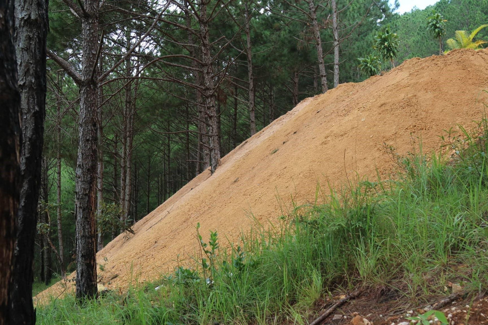 San ủi rừng thông trái phép để dựng nhà. (Ảnh: TTXVN)