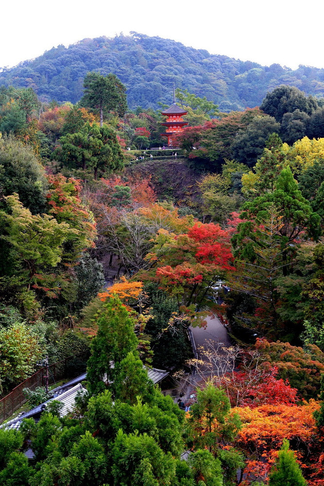 Ngôi chùa được xây dựng trên núi giữa rừng cây. (Ảnh: Huy Hùng/TTXVN)