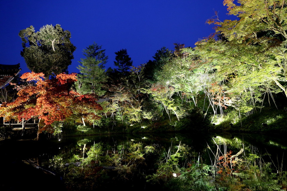 Cảnh đẹp tuyệt đẹp tại chùa Kodaiji vào buổi tối. (Ảnh: Huy Hùng/TTXVN)