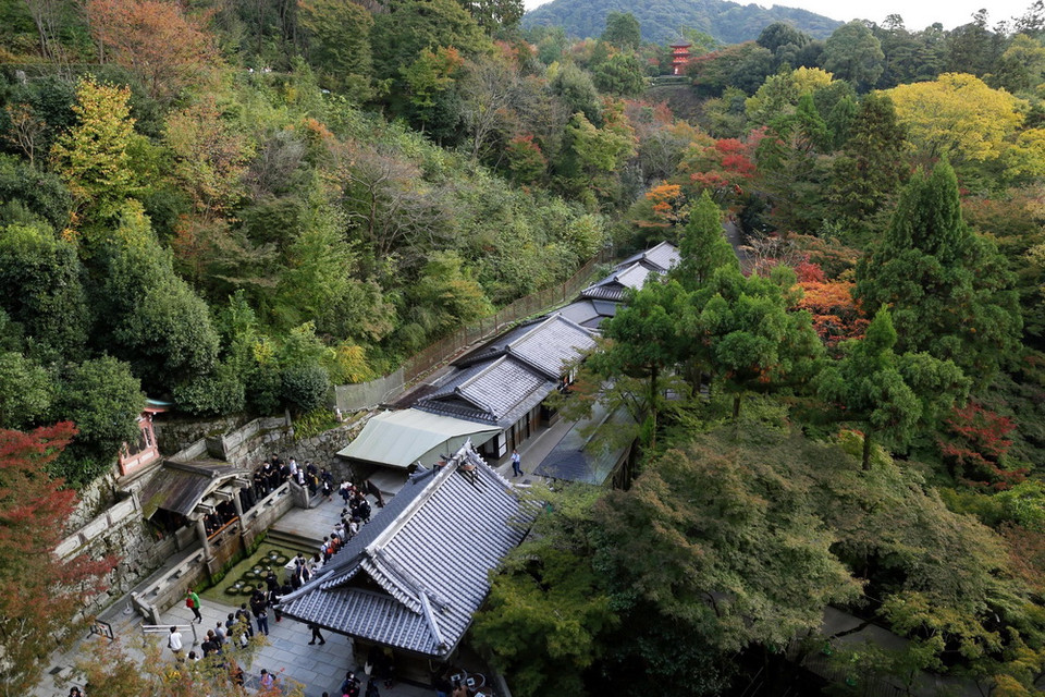 Ngôi chùa được xây dựng trong một quần thể rộng lớn với nhiều cây cối bao quanh. (Ảnh: Huy Hùng/TTXVN)