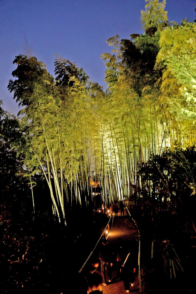 Cảnh đẹp tại chùa Kodaiji vào buổi tối. (Ảnh: Huy Hùng/TTXVN)