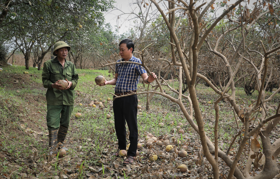 Anh Nguyễn Kiều Hưng, Bí thư Đảng uỷ, chủ tịch UBND xã Đại Minh đến chia sẻ, động viên người dân bị thiệt hại ở thôn Minh Thân. (Ảnh: Tuấn Anh/TTXVN)