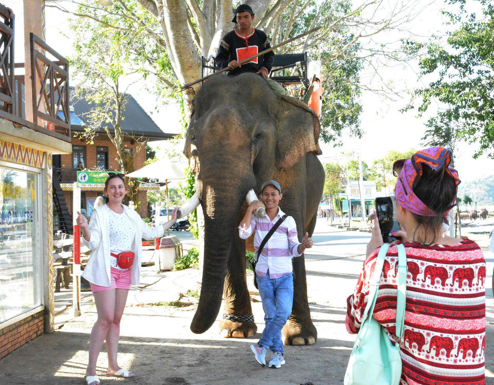 Du khách chụp ảnh kỷ niệm với voi. (Ảnh: Nguyễn Tuấn Anh/TTXVN)