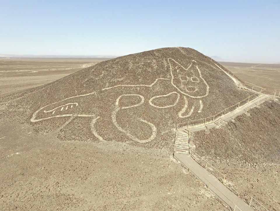 Các nhà khảo cổ học Peru đã phát hiện ra một hình con mèo dài 37m, được chạm khắc trên một mặt đồi thuộc quần thể cổ xưa Nazca Lines (tạm dịch ''Những hình vẽ ở cao nguyên Nazca'') của nước này. Giới chuyên gia cho biết hình mèo này xuất hiện từ cuối thời Paracas, cách đây hơn 2.000 năm, lâu đời hơn cả các hình chạm khắc khác trên cao nguyên Nazca như chim nhại, khỉ, nhện. (Ảnh: AFP/TTXVN)