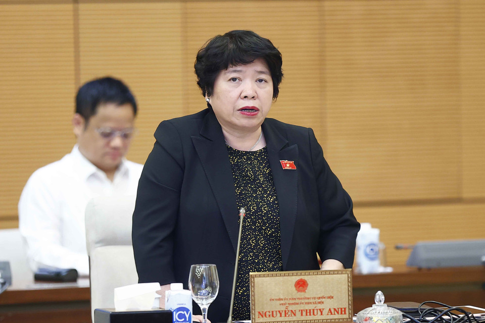 Chủ nhiệm Ủy ban Xã hội của Quốc hội Nguyễn Thúy Anh phát biểu. (Ảnh: Doãn Tấn/TTXVN)