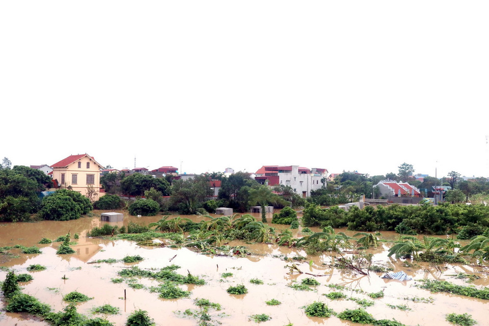 Nước sông Hồng lên cao khiến một số khu vực của thành phố Hưng Yên bị ngập. (Ảnh: Đinh Văn Nhiều/TTXVN)