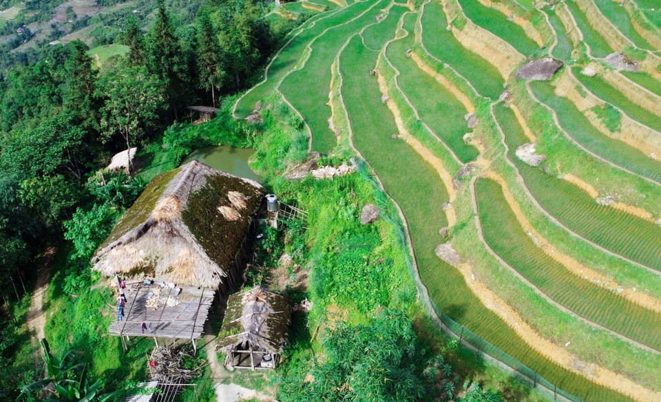 Một ngôi nhà lợp mái cọ phủ rêu nằm cạnh những thửa ruộng bậc thang. (Ảnh: Hoàng Hiếu/TTXVN)