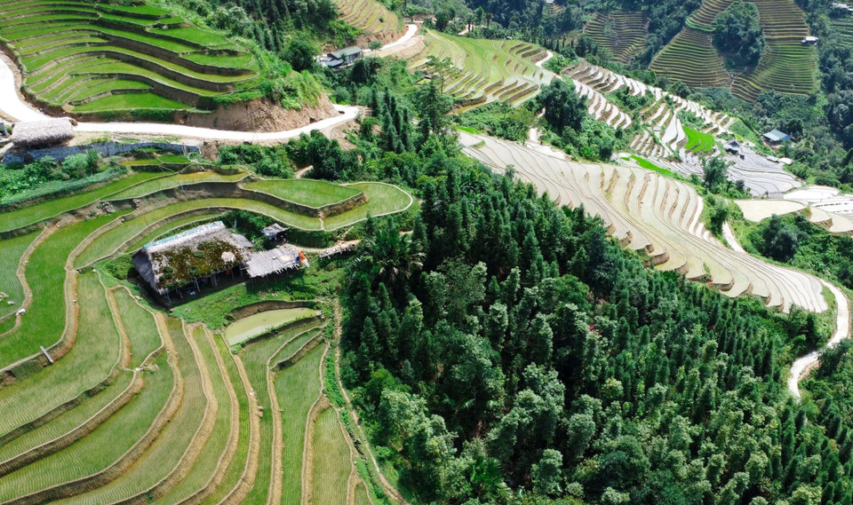Từ thôn Xà Phìn, du khách có thể ngắm nhìn những ngôi nhà mái cọ rêu phong, những thửa ruộng bậc thang, những con đường uốn lượn. (Ảnh: Hoàng Hiếu/TTXVN)