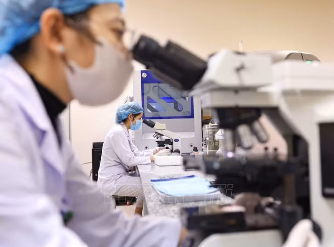 Nghiên cứu sinh được "đặt hàng" làm chủ công nghệ lõi, mức hỗ trợ tối đa 1 tỷ đồng/năm 200004-vna-potal-70-nam-ngay-thay-thuoc-viet-nam-benh-vien-noi-tiet-trung-uong-tat-ca-vi-su-hai-long-cua-nguoi-benh-7872694.jpg