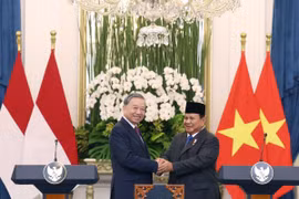 Quan hệ Việt Nam-Indonesia sẽ tiếp tục phát triển mạnh mẽ và bền chặt