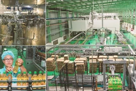 Luôn đổi mới và sáng tạo trong sản xuất, theo đuổi sự phát triển bền vững.