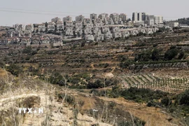 Quang cảnh khu định cư ở Efrat ở ngoại ô thành phố Bethlehem, Khu Bờ Tây. (Ảnh: Getty Images/TTXVN)