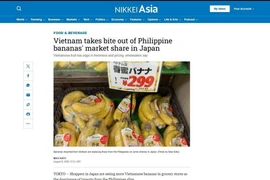 Nikkei Asia nhận định chuối Việt Nam đang có lợi thế tại thị trường Nhật Bản. (Ảnh chụp màn hình: Nguyễn Tuyến/TTXVN)