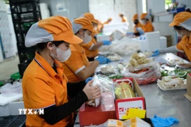 Kinh tế tư nhân là lực lượng tiên phong để thúc đẩy tăng trưởng, tạo việc làm, nâng cao năng suất. (Ảnh: Nguyễn Dũng/TTXVN)