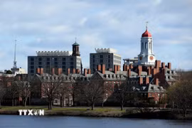 Đại học Havard ở Cambridge, Massachusetts (Mỹ). (Ảnh: Getty Images/TTXVN)