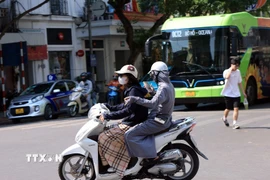 Ảnh minh họa. (Nguồn: TTXVN)