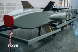 Ảnh minh họa. (Ảnh: AFP/TTXVN)