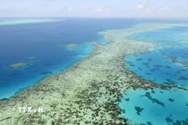 Rạn san hô Great Barrier ở Australia. (Ảnh minh họa: Kyodo/TTXVN)