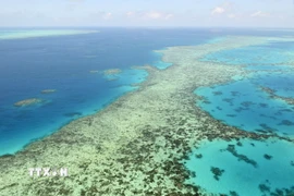Rạn san hô Great Barrier ở Australia. (Ảnh minh họa: Kyodo/TTXVN)