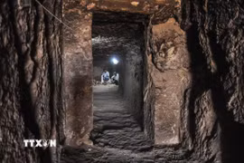 Các nhà khảo cổ làm việc bên trong lăng mộ Shedsu-Djehuty tại Draa Abul Naga, Luxor (Ai Cập), ngày 18/4/2019. (Ảnh: AFP/ TTXVN)